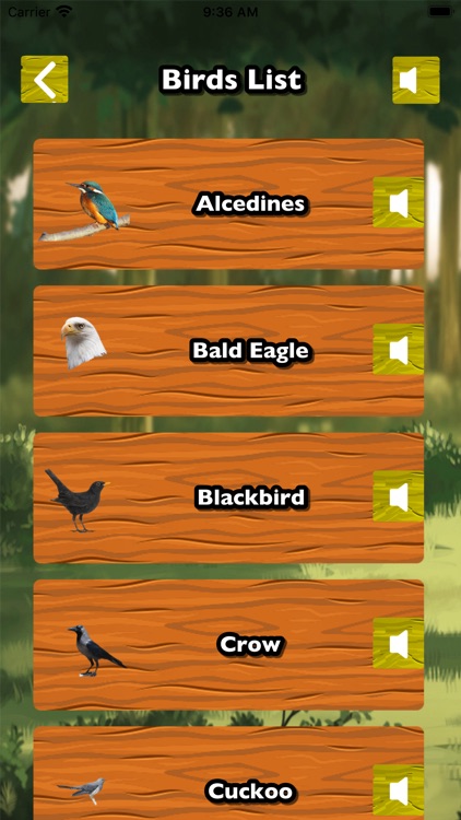 Learn Animals & birds screenshot-5