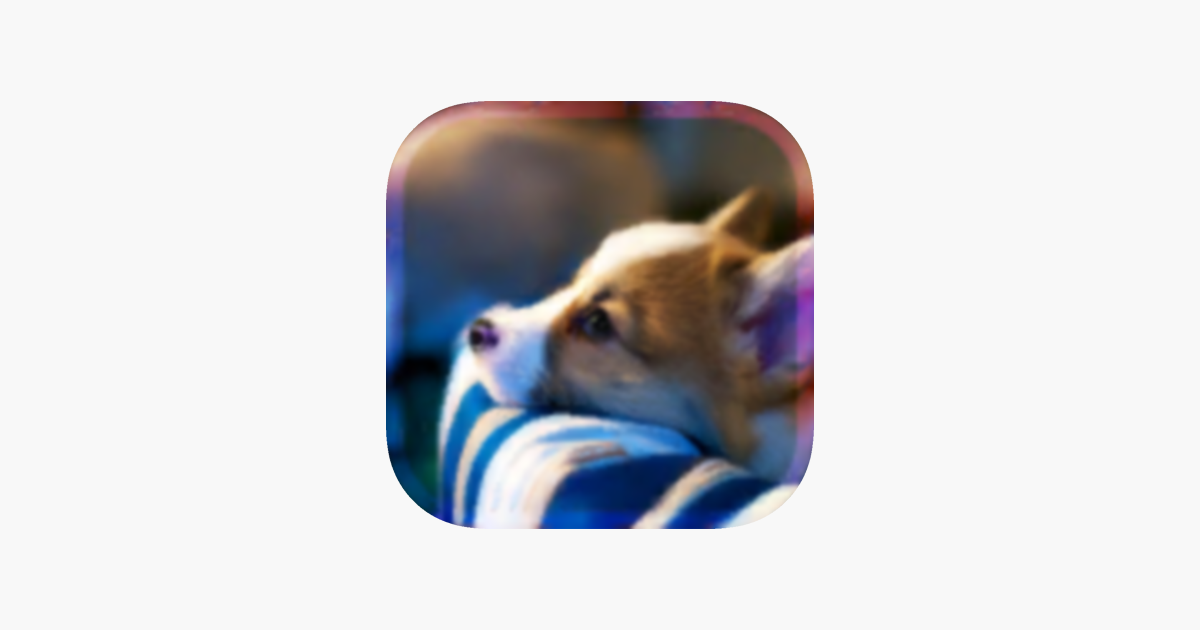 App Store 幸せの犬育成ゲーム3d