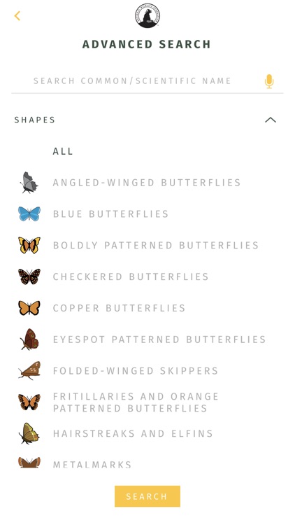 NWF Guide to Butterflies screenshot-6