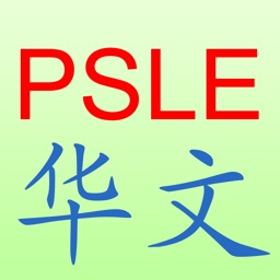 2019 PSLE Chinese Revision