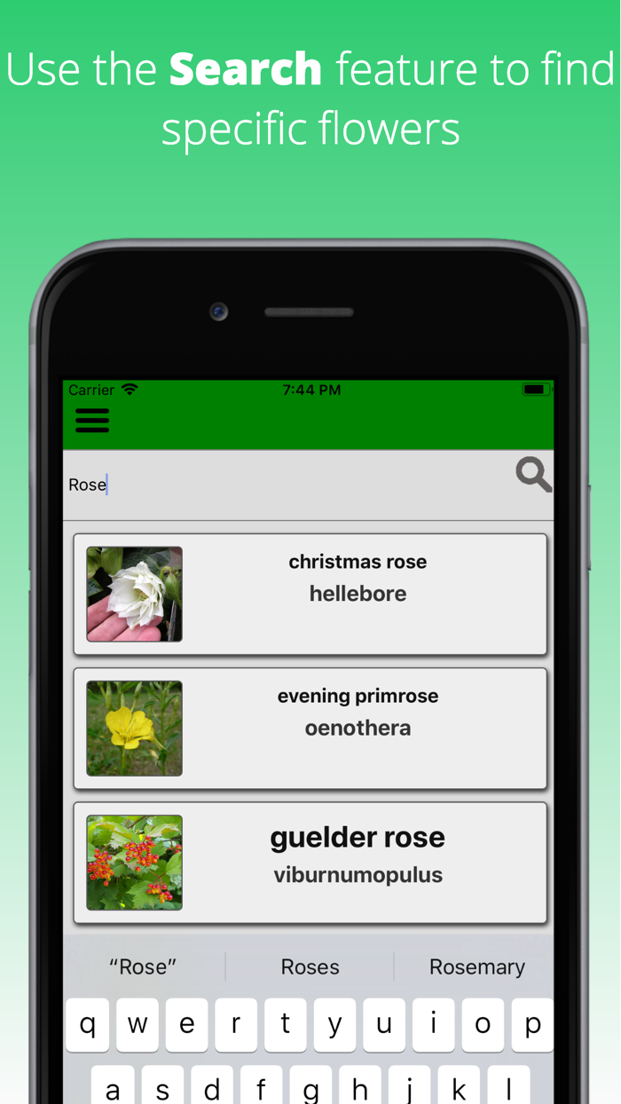 Flowers Dictionary Pro
