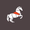 Levade - Equestrian Training