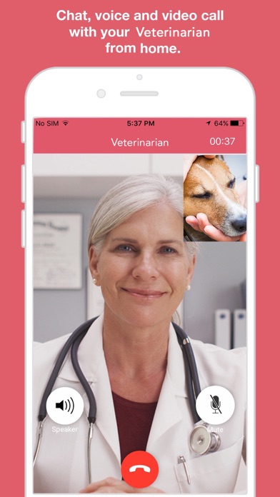 Veterinarian Online screenshot 3