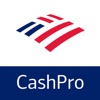 CashPro CashPro