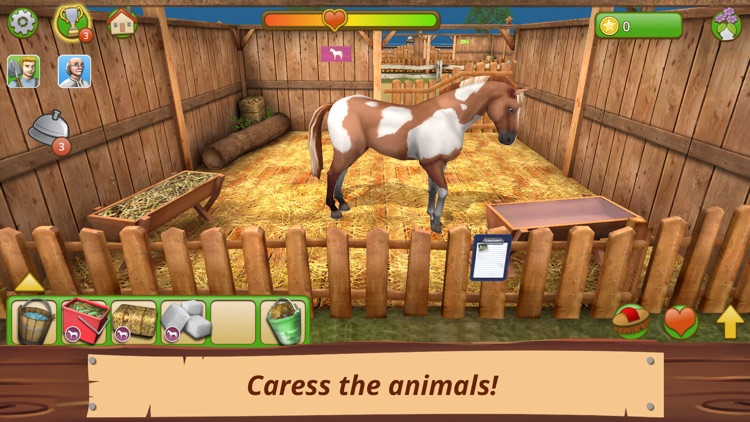 Pet World Premium