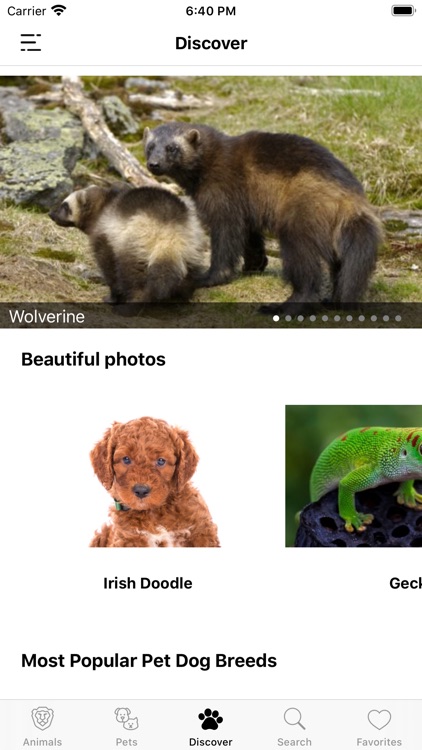 Animal Facts (Animal World) screenshot-6