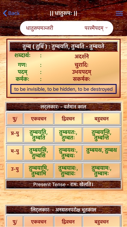 Sanskrit Dhatu 360°