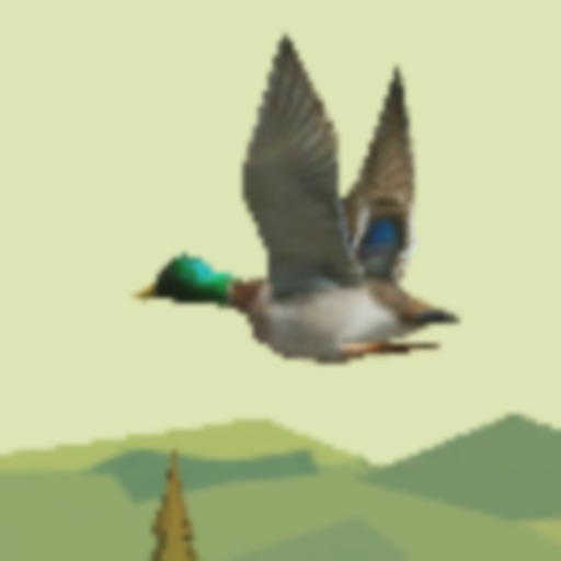 Duck Hunter - 3D Hunting Games iOS App