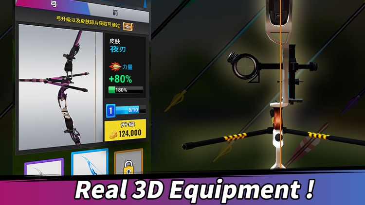 Archery 3D-super sport screenshot-3