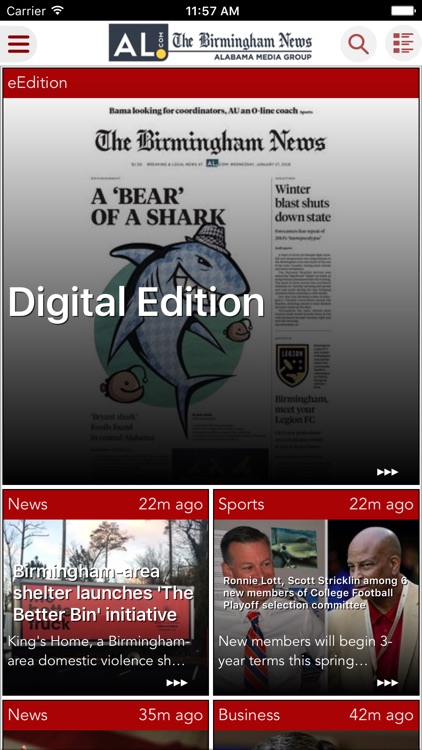 The Birmingham News