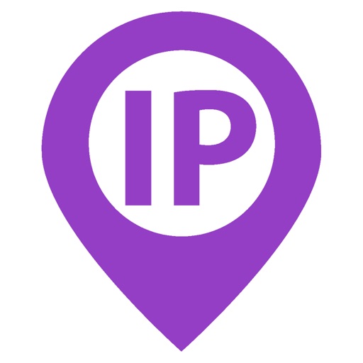 IP & Domain Info Tool