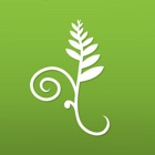 Top 13 Education Apps Like Koru Mindfulness - Best Alternatives