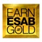 With the Earn ESAB Gold app, you can use your device to track and earn points