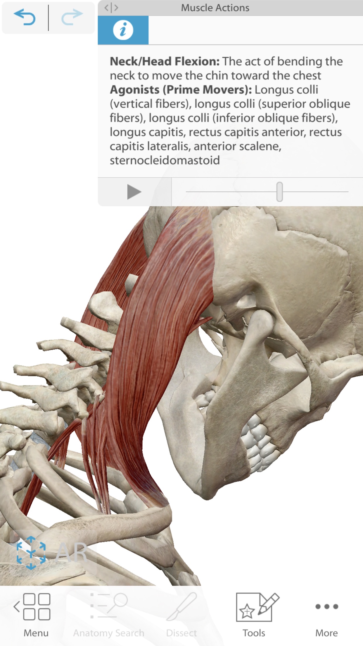 Screenshot do app Human Anatomy Atlas 2021