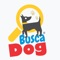 Busca tu mascota o busca las mascotas de otros vecinos, vuélvete digital con el control de vacunas y comparte las maravillas de tu mascota con los demás