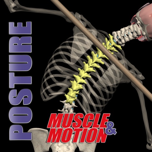 Posture by Muscle & Motion