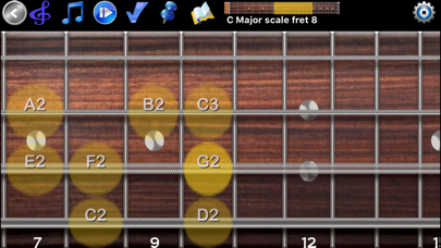 How to cancel & delete Bass Guitar Tutor Pro from iphone & ipad 2