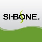 Top 29 Business Apps Like SI-Bone DR - Best Alternatives