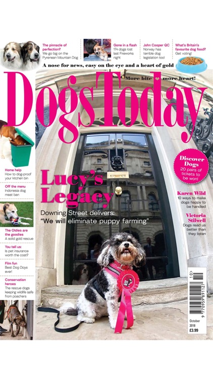 Dogs Today Magazine screenshot-3
