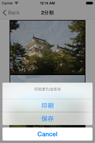集約印刷 - náhled