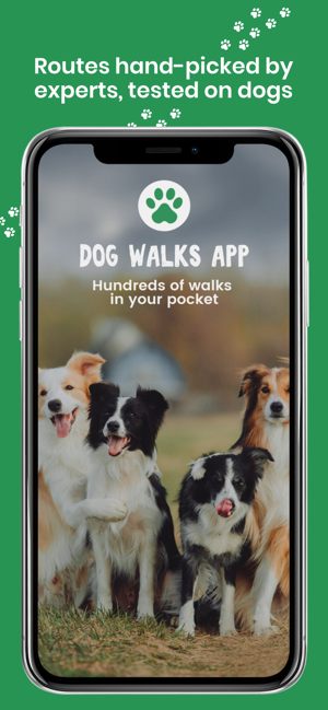 Dog Walks(圖1)-速報App