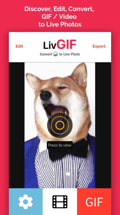 LivGIF - Discover &Convert GIF