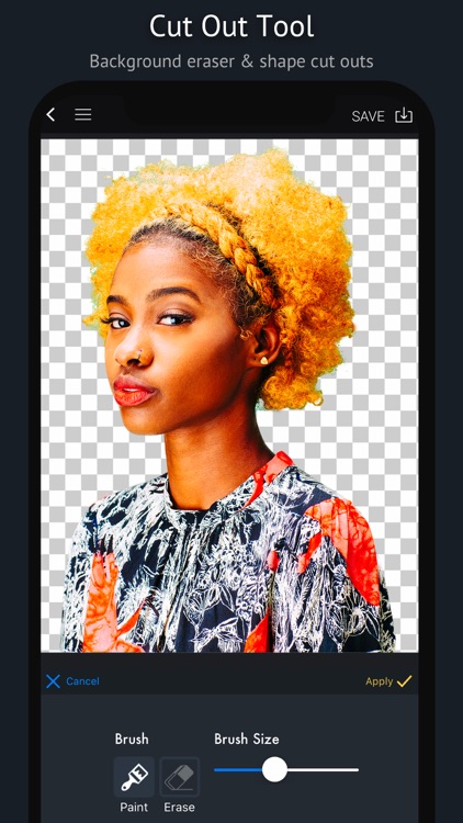 piZap Graphic Design & Editor screenshot-3