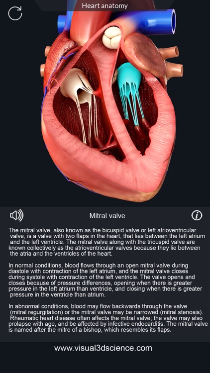 AR Heart Anatomy