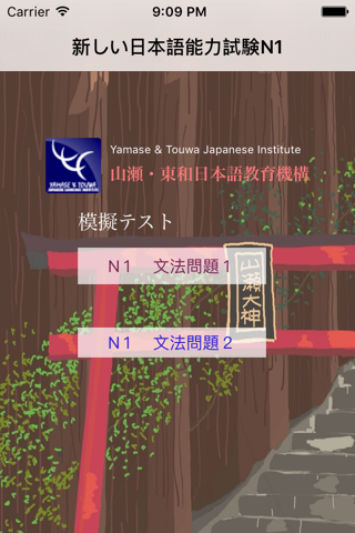 N1 文法問題集 screenshot 2