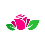 Новоцвет  Стерлитамак