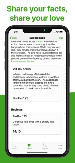 Bird Nerd NZ(圖6)-速報App