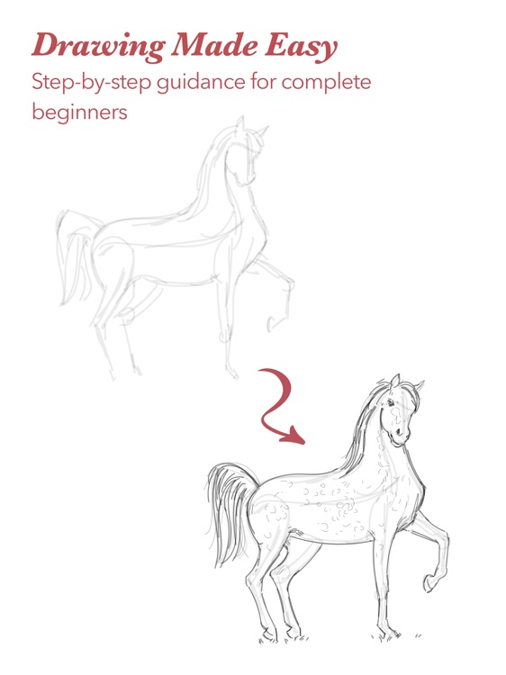 ShadowDraw: Learn How to Draw