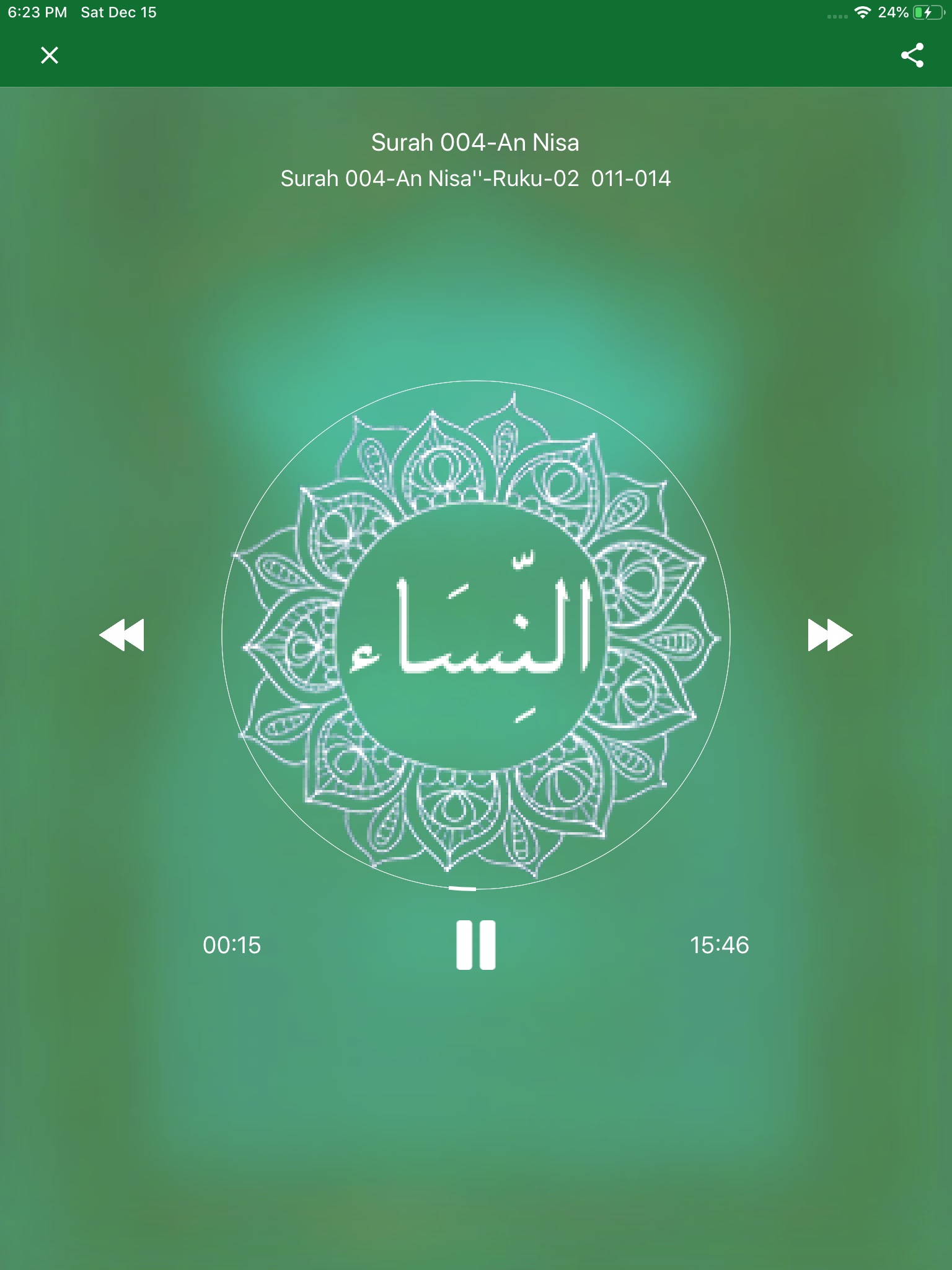 Tafheem ul Quran Full Audio screenshot 4