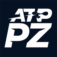 ATP PlayerZone на пк