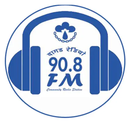 Vagad Radio Читы