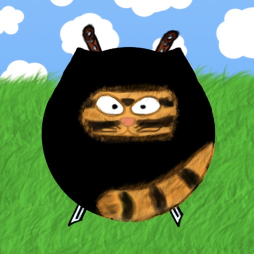 Amazing Ninja Cat iOS App