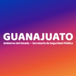 Guanajuato COVID-19
