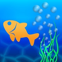 Aquarium HD ne fonctionne pas? problème ou bug?