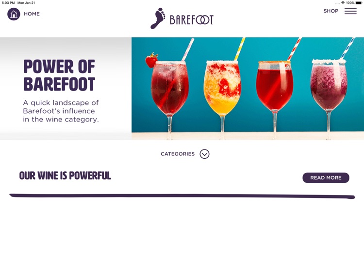 Brandhub 4 Barefoot screenshot-4