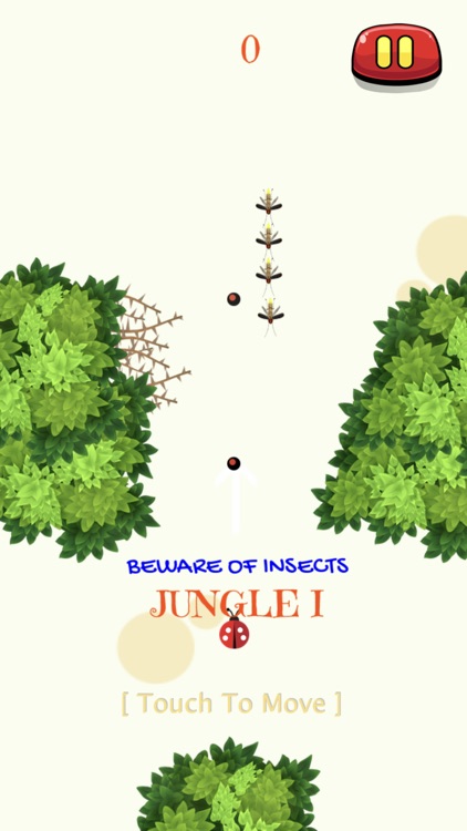 Jungle Bugs