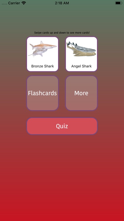 Shark species quiz