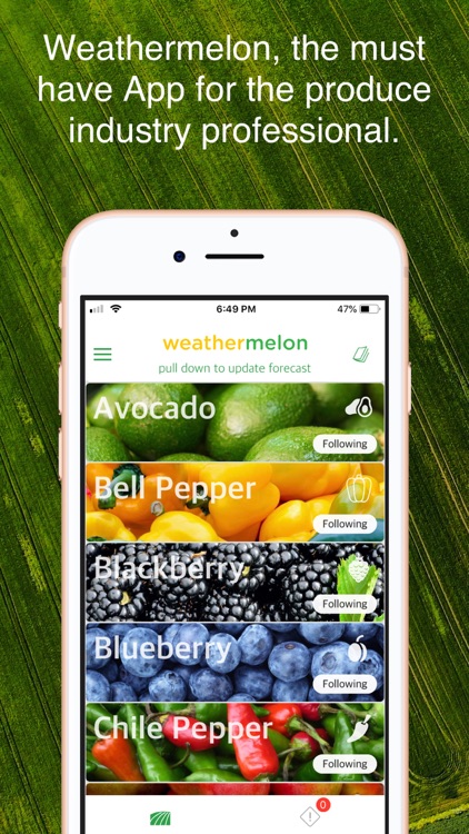 Weathermelon