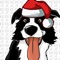 CollieMoji is the #1 emoji app for Border Collie Lovers