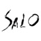 SALO operates in a marketplace where hair and salon consultants offers services to customers online via SaLO web site and also the associated mobile application 