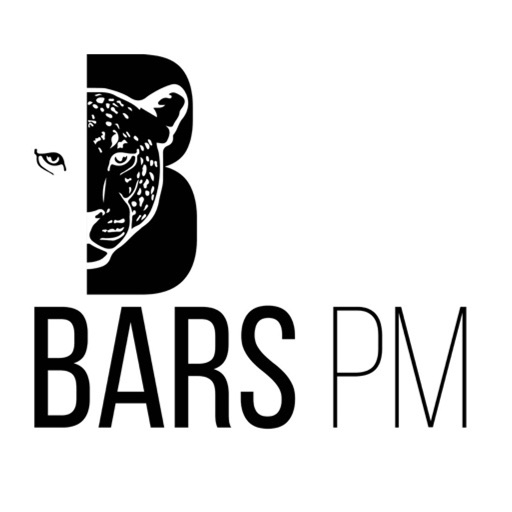 Учебный Центр BARS PM