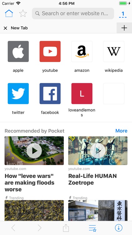 RedApp Web Browser