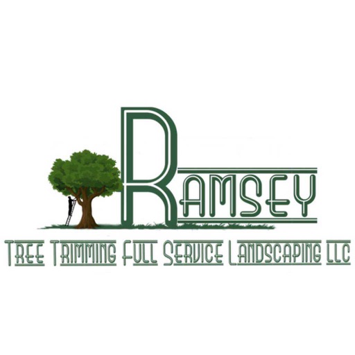 Ramsey Tree and Landscape