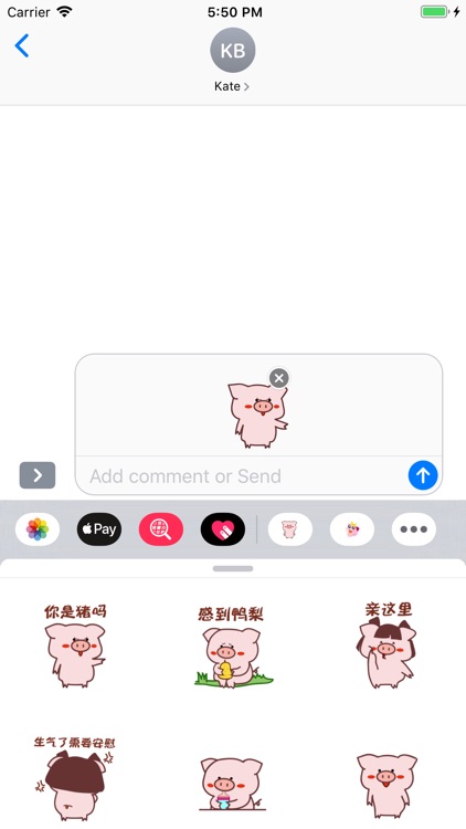 Stupid Pig Stickers