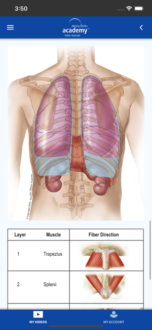 DGSA Dry Needling Videos(圖8)-速報App