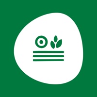 Basf